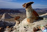 Stud Horse Point